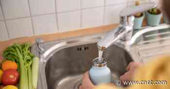 Your Reusable Water Bottle Is Harvesting Harmful Bacteria. Here's How to Clean It     - CNET