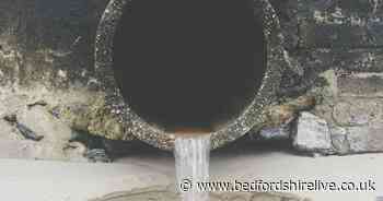 Luton councillor slams water firms who are 'pumping sewage into our waterways' - Bedfordshire Live