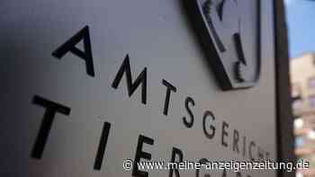 Rechtsextremer Videoblogger zu Bewährungsstrafe verurteilt