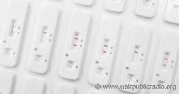 Coronavirus FAQ: Does a faint line on a self-test mean I'm barely contagious? - KUAR