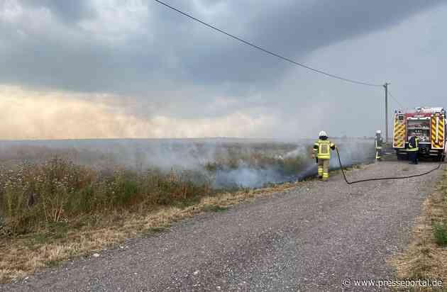POL-PDNW: PI Grünstadt - Feldbrand nach Blitzeinschlag