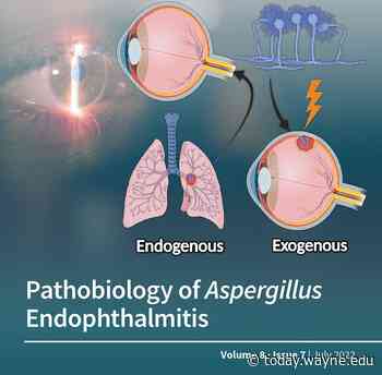 Journal cover showcases research project led by medical student and recent alumni on fungal eye infection - Wayne State University