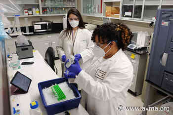 Veterinary students share research at scholars symposium - American Veterinary Medical Association