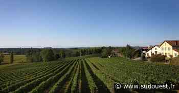 Bénesse-lès-Dax : les créatrices à l’honneur samedi 27 août au domaine de Pribat - Sud Ouest