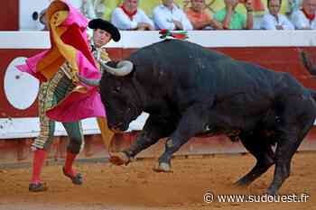 Corrida de Dax : entre pins et marécages, en quête de conquêtes - Sud Ouest