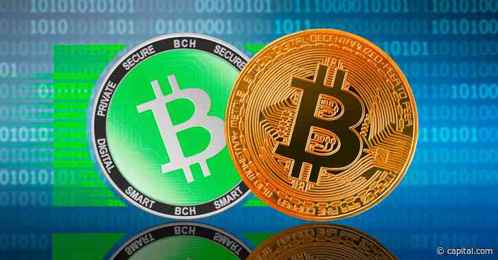 BCH/BTC prediction: Bitcoin Cash looks to stop slide against Bitcoin - Capital.com