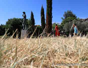 Les pelouses des parcs de Nice vont-elles survivre à la sécheresse? Voici à quoi vont ressembler les futurs gazons de la ville