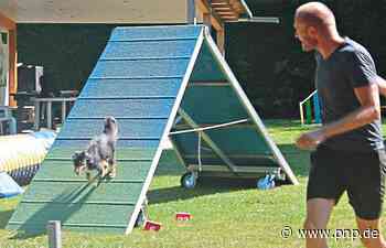 Hund und Herrchen kämpfen um den Titel - Passauer Neue Presse - PNP.de