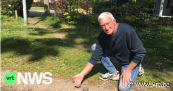 Herentals Kampioenschap Tapschieten: "Oud volksspel nieuw leven inblazen" - Vlaamse Radio- en Televisieomroeporganisatie