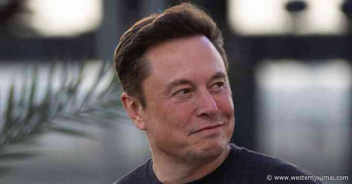 Twitter Ordered to Hand Info on 9,000 Audited Accounts Over to Elon Musk