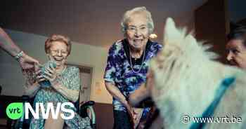 Aaibare honden gezocht voor bewoners woonzorgcentrum Lier en Psychiatrisch Centrum Duffel - Vlaamse Radio- en Televisieomroeporganisatie