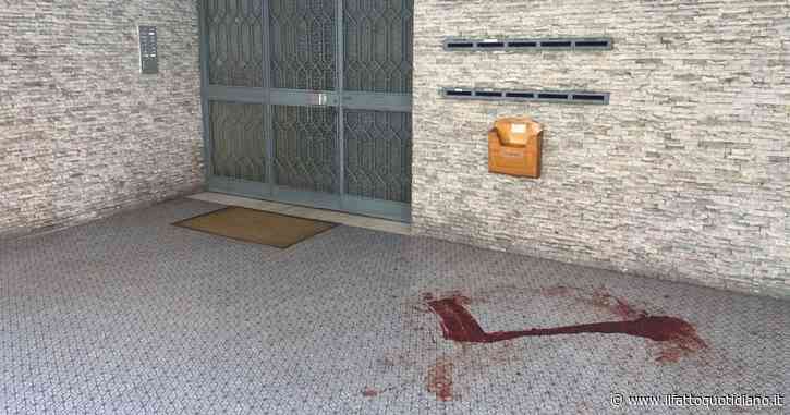 Omicidio Matteuzzi, convalidato l’arresto per Giovanni Padovani: il 27enne resta in carcere. “L’ ha colpita con una panca di ferro”