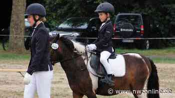 Pferdesport in Nordenham: Großes Reitturnier in der Blexer Papenkuhle - NWZonline