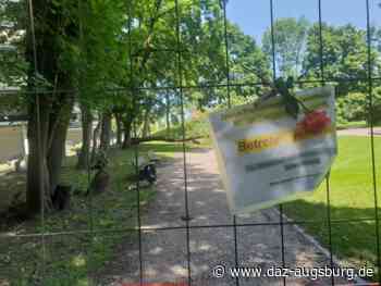 Baumunglück: Staatsanwaltschaft beantrag Strafbefehl gegen Mitarbeiter der Stadt Augsburg | Die Augsburger Zeitung - DAZ - Die Augsburger Zeitung