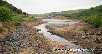 Hosepipe ban - how to report breaches and other questions answered - Hull Live