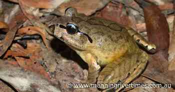 Gloucester Wild Festival coincides with National Biodiversity Month this September - Manning River Times