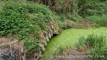 Video shows abandoned Hereford and Gloucester Canal tunnels - Ledbury Reporter