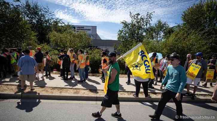 B.C. cannabis stores close, lay off staff as job action prevents pot deliveries