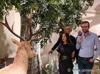 Musei, 1,6 milioni per quelli di Pisa. Mazzeo: "Puro ossigeno" - gonews