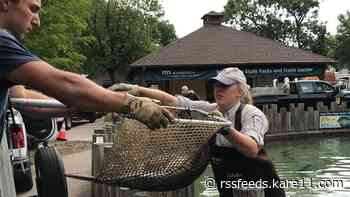 Fishin' Magicians: DNR crew turns concrete pond into haven for game fish