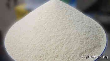 NGO trains 100 Rivers women in mechanised garri processing - Guardian Nigeria