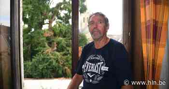 Het gaat niet goed met oudste boom van Leuven, en stad kan niet zomaar iets doen: “Een tak van zo'n mastodont weegt al gauw een paar ton, moet hier eerst een dode vallen?” - Het Laatste Nieuws