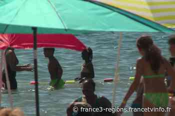 Frontignan : le Secours populaire offre une journée à la mer à 800 "oubliés des vacances" - France 3 Régions