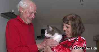 N.S. couple reunited with lost cat thanks to the kindness of strangers