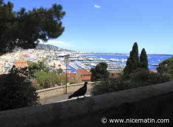 3 bonnes raisons d’aller flâner au Suquet des arts, ce week-end à Cannes