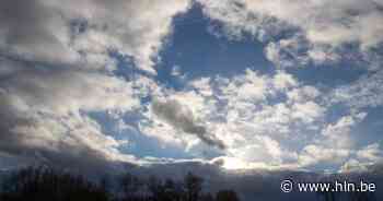 Ontdek het authentieke landschap van natuurreservaat Uilenbroek tijdens Dauwtripwandeling - Het Laatste Nieuws