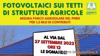 Fotovoltaici su tetti di strutture agricole: le domande dal 27 settembre - Termoli Online