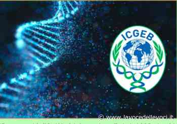 TRIESTE / ECCO IL SUPER BIO-LABORATORIO DELLA RETE 'ICEB' – NON PAGA TASSE, RICERCHE TOP SECRET - La Voce Delle Voci