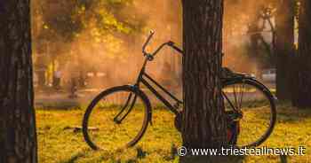 Piste Ciclabili, approvato il “Piano FVG della Mobilità... - Trieste News
