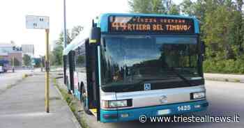 Trieste, Bus 44, FDI: “Problemi con ospiti Centro di Accoglienza... - Trieste News