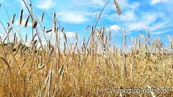 Kreis Mettmann: Hitze-Warnung für Mittwoch - Super Tipp