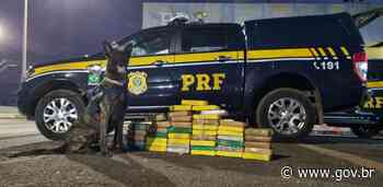 Timon/MA: mais de 46kg de cocaína são apreendidos e uma pessoa é presa - Portal Gov.br