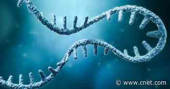 Moderna Sues Pfizer Over mRNA Technology Used in COVID Vaccines     - CNET