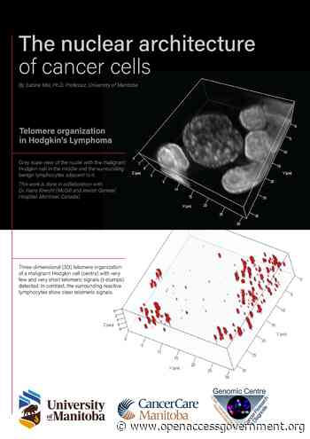 The nuclear architecture of cancer cells - Open Access Government