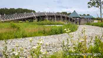 Tsuru-no-mai Bridge: “Power Spot” and Marvel of Wooden Architecture in Heart of Tsugaru - Nippon.com