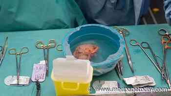HCV-Positive Kidney Allograft Survival Just as Good at 5 Years