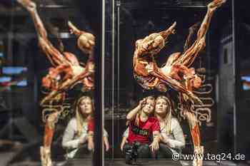 So bekommt Ihr Tickets für "Körperwelten" in der Zeitenströmung Dresden - TAG24