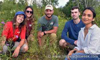 Native trees enhance resiliency of Heartland Forest canopy - Niagara This Week