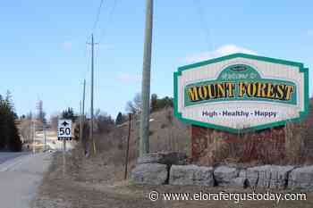 New Mount Forest pool design concept heads to council - EloraFergusToday