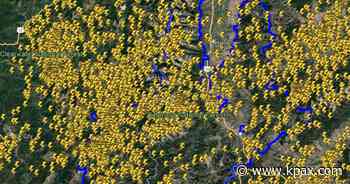 Bitterroot National Forest reports over 1,000 lightning strikes - KPAX News