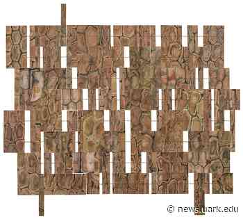 Laura Terry's 'How to Measure a Forest' Exhibition on Display Through Oct. 21 in Vol Walker Hall - University of Arkansas Newswire