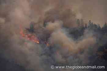 Wildfires are destroying California's forest carbon credit reserves: study - The Globe and Mail