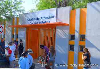 Renuncia la titular CACF del Ayuntamiento de Hermosillo - Radar Sonora