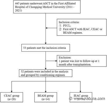 Comparison of CEAC, BEAM and IEAC conditioning regimens followed by autologous stem cell transplantation in peripheral T-cell lymphoma patients | Scientific Reports - Nature.com