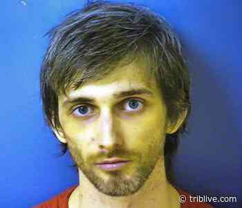 Clinton Township man faces multiple felonies after woman calls police about stranger on her porch - TribLIVE