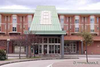 Interventi salvavita a due bimbi di 1 anno e mezzo a Foligno - Umbria - Agenzia ANSA